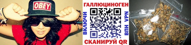 hydra   Вяземский  Псилоцибиновые грибы Psilocybe 